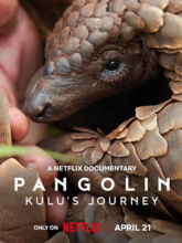 Watch Pangolin: Kulu's Journey (2025) Online Full Movie Free